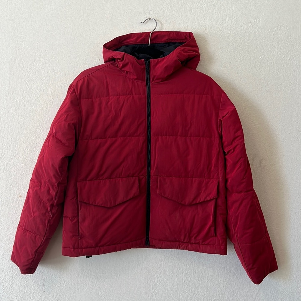 Everlane Short Puffer Jacket